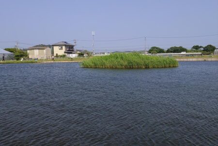 アマゾンの怪魚と糸電話 ～浜名湖フィッシングリゾート～
